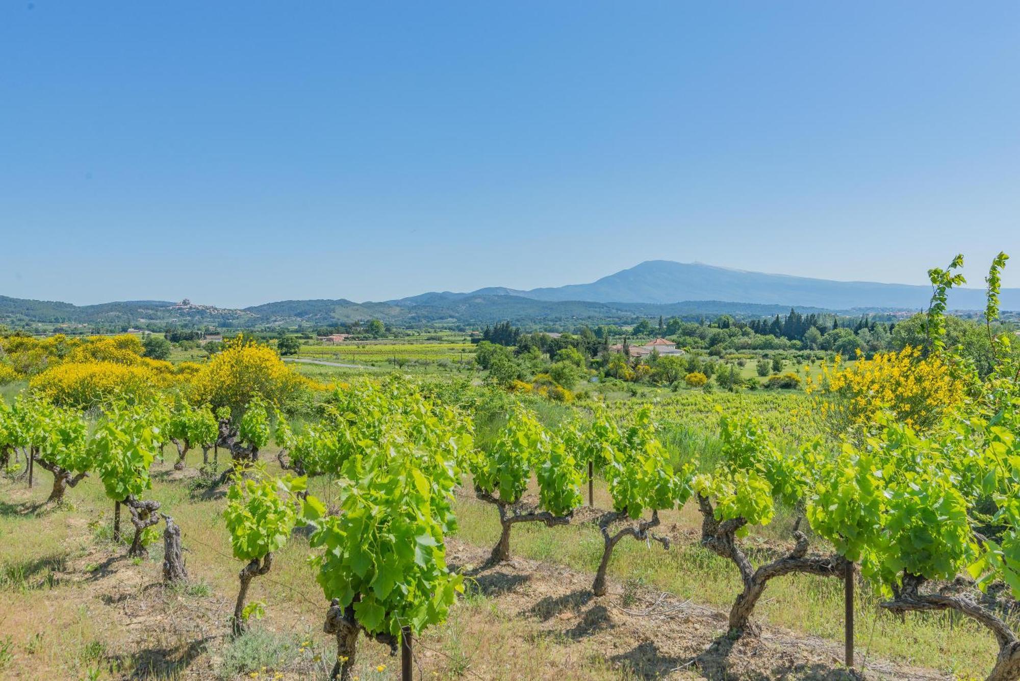 Вилла Domaine Purviti Бом-де-Вениз Экстерьер фото